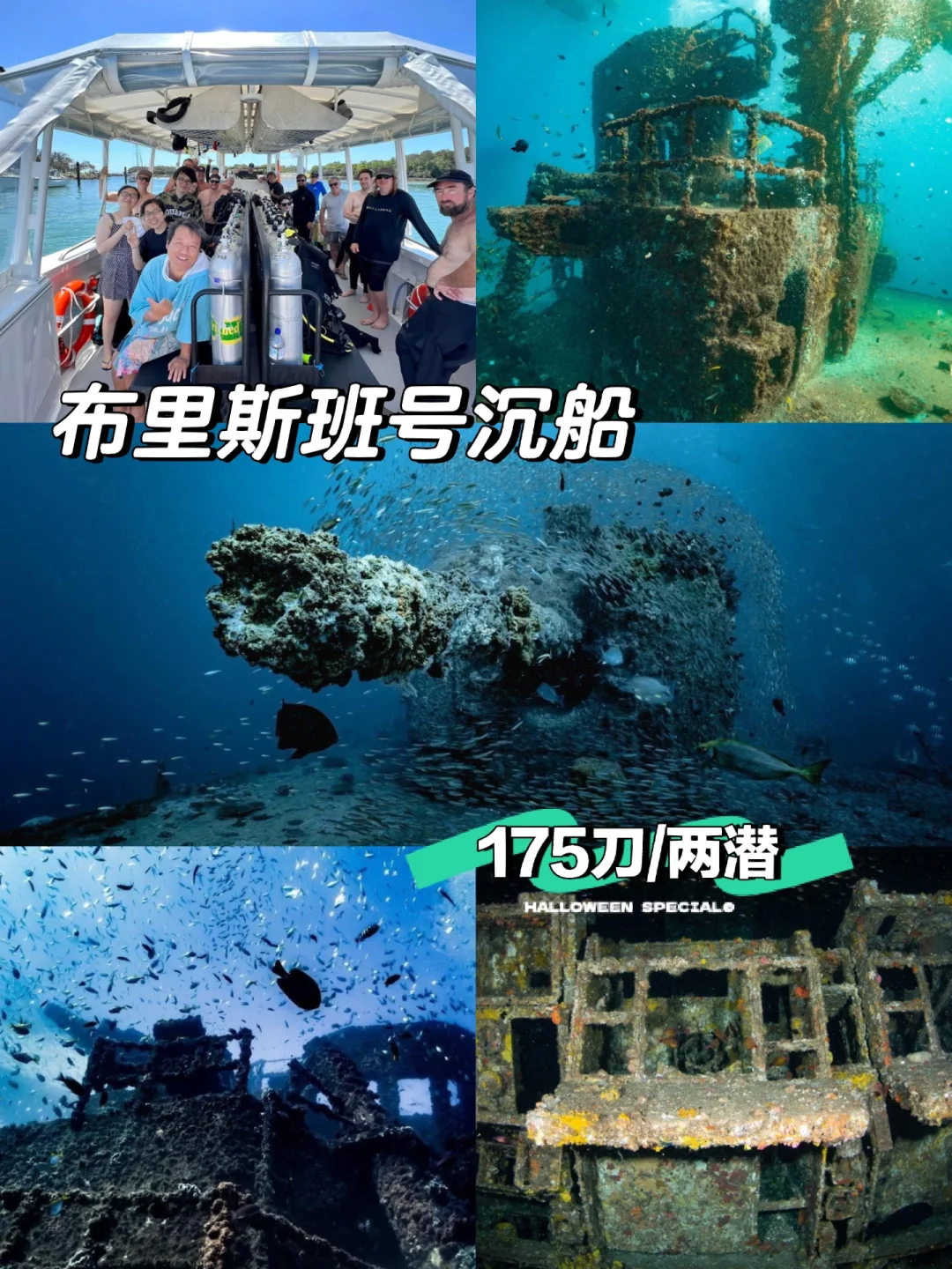 hth华体会官网-布里斯班狮子间接受挑战，志在必得