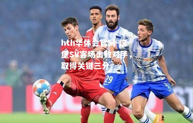 hth华体会官网-汉堡SV客场击败对手，取得关键三分