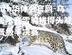 hth华体会官网-乌鲁木齐雪豹拔得头筹，晋级半决赛