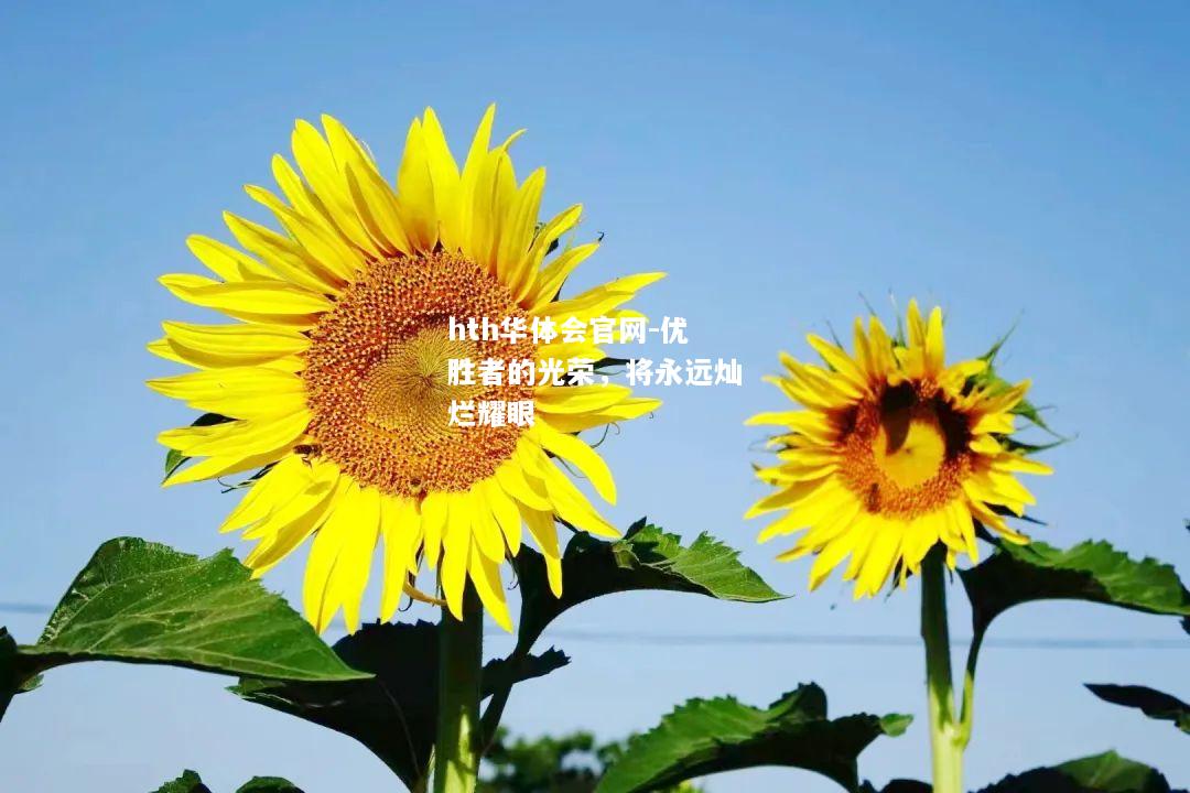 hth华体会官网-优胜者的光荣，将永远灿烂耀眼